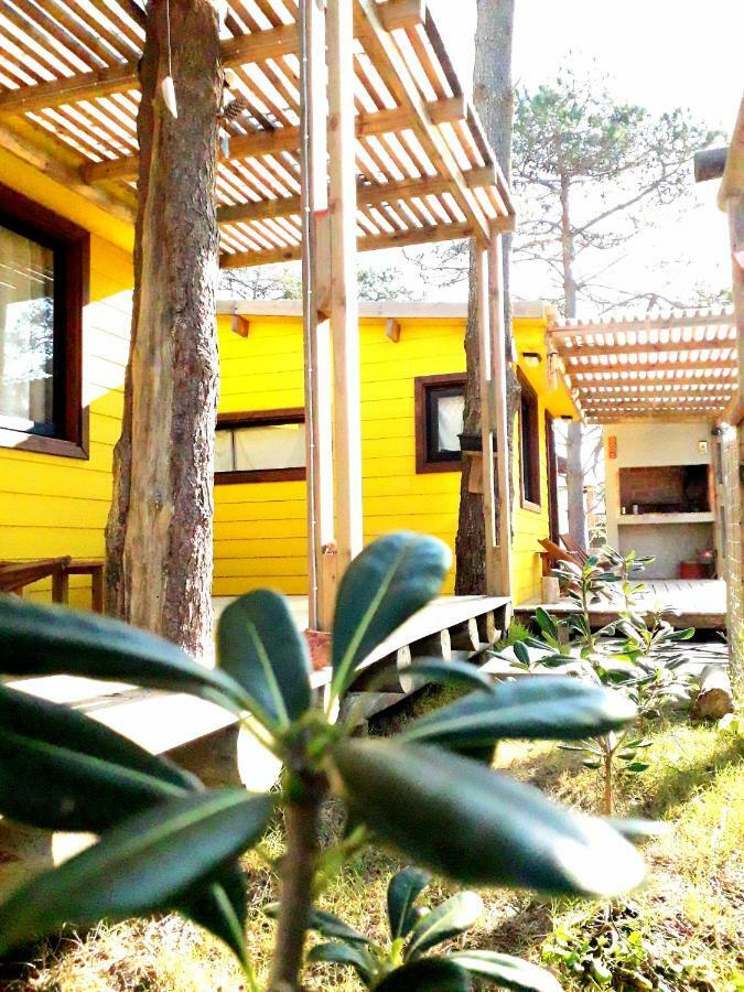 Diabro'S Villa Punta Del Diablo Dış mekan fotoğraf